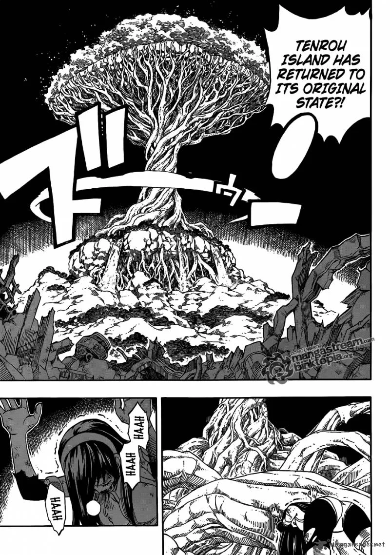 Fairy Tail Chapter 248 page 9