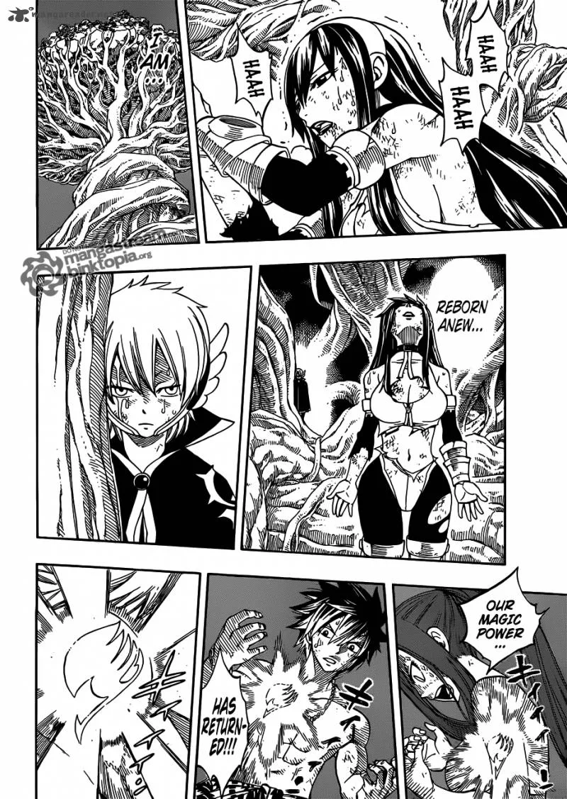 Fairy Tail Chapter 248 page 10