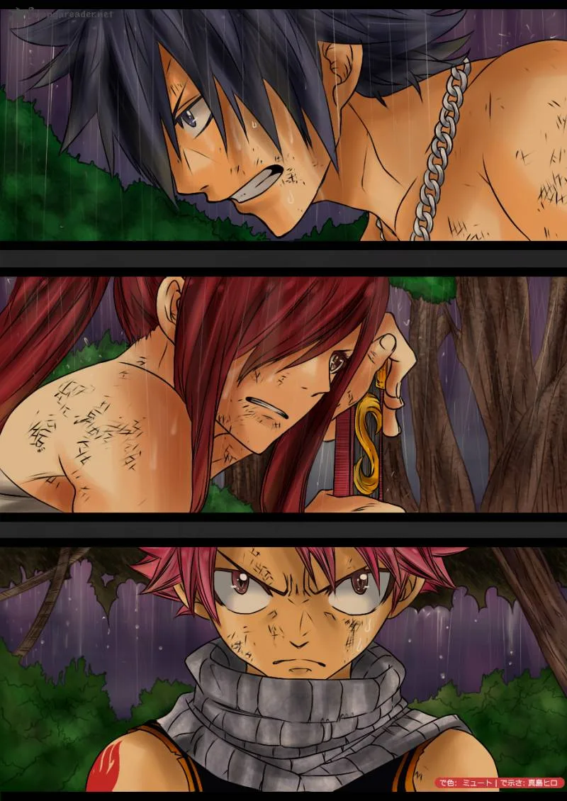 Fairy Tail Chapter 248 page 20