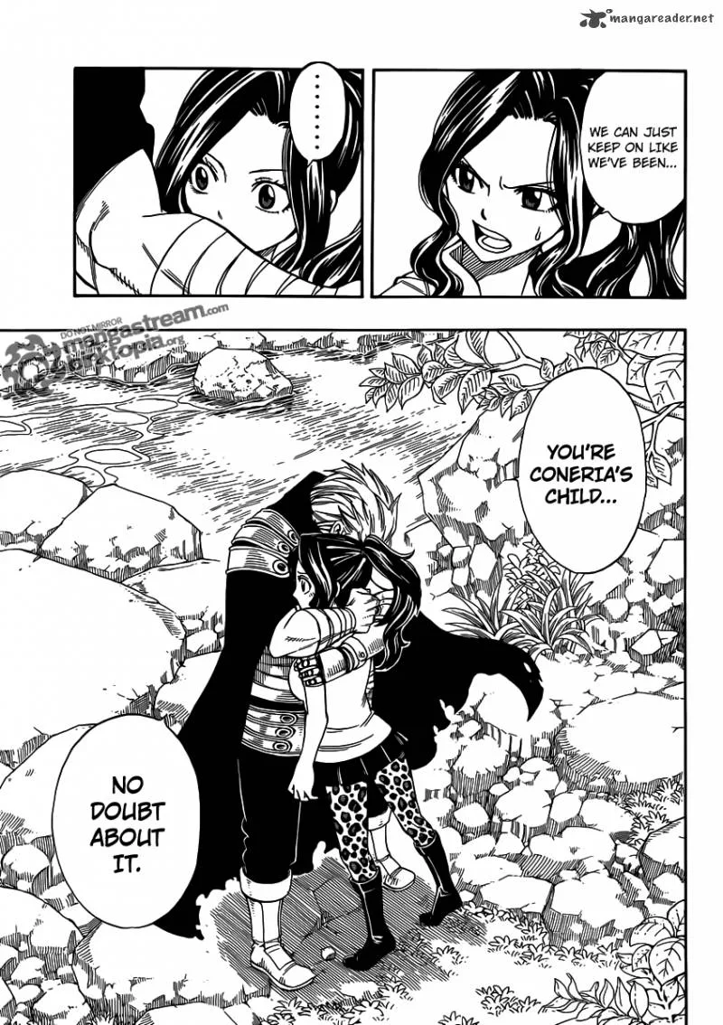 Fairy Tail Chapter 251 page 13