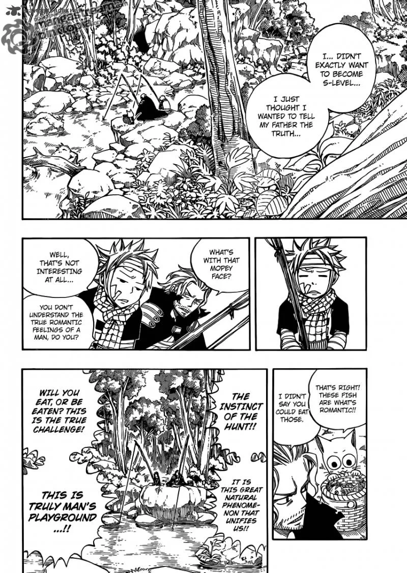 Fairy Tail Chapter 251 page 8
