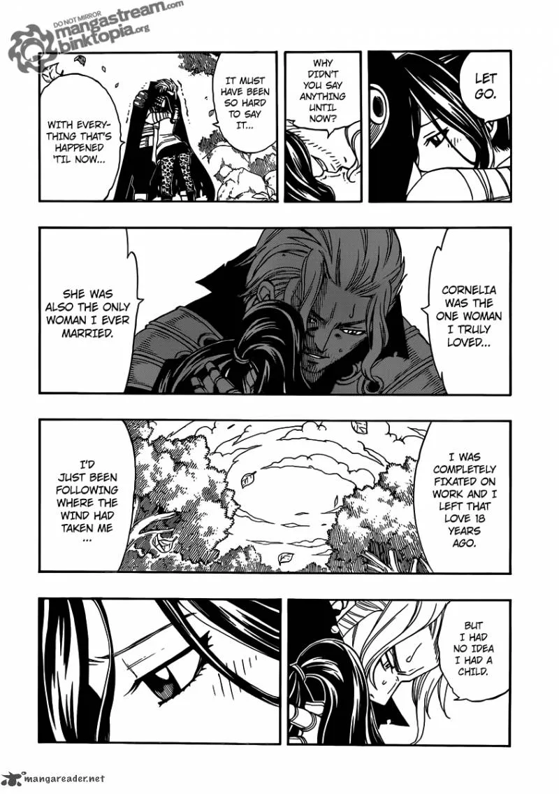Fairy Tail Chapter 251 page 14
