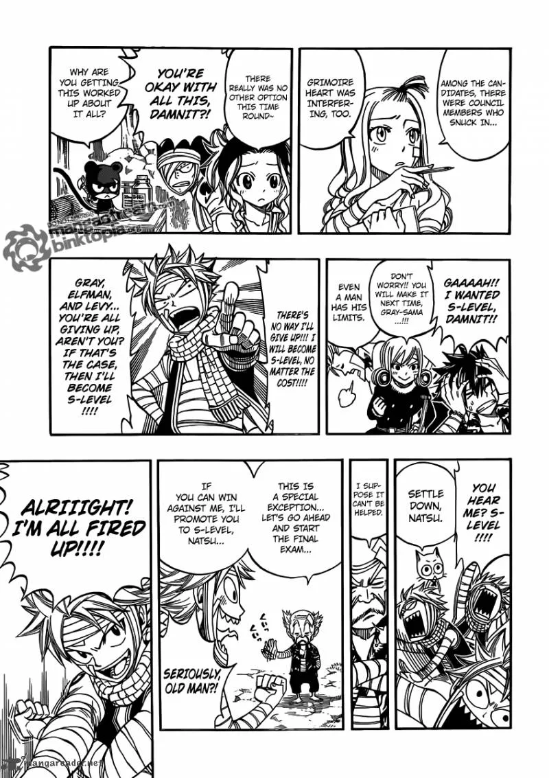 Fairy Tail Chapter 251 page 3