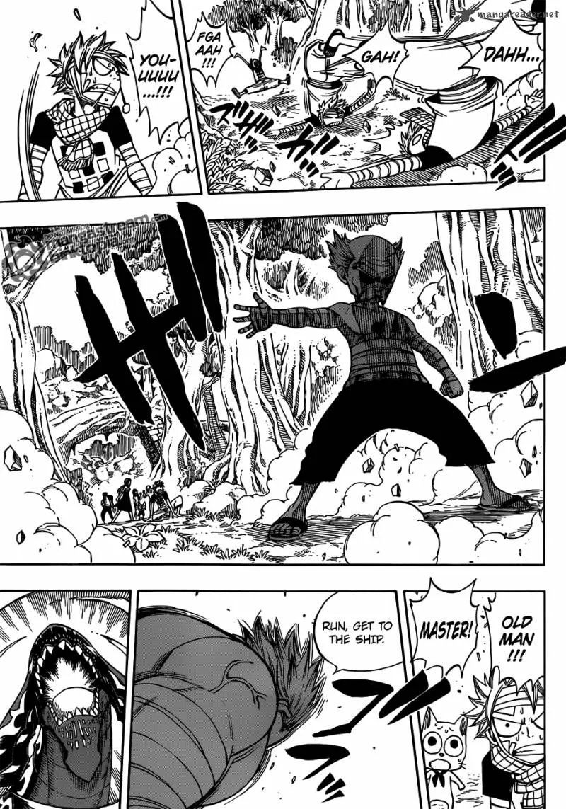 Fairy Tail Chapter 252 page 13