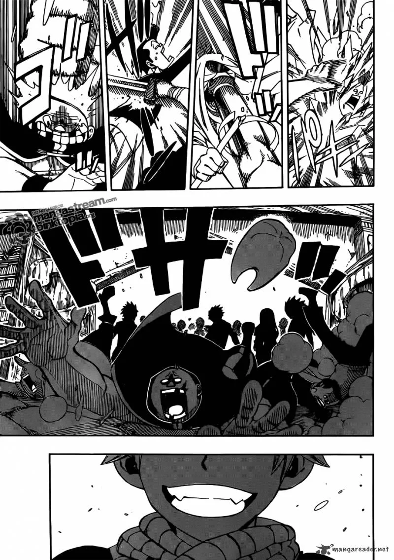 Fairy Tail Chapter 255 page 11