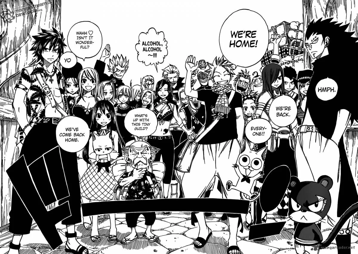 Fairy Tail Chapter 255 page 12