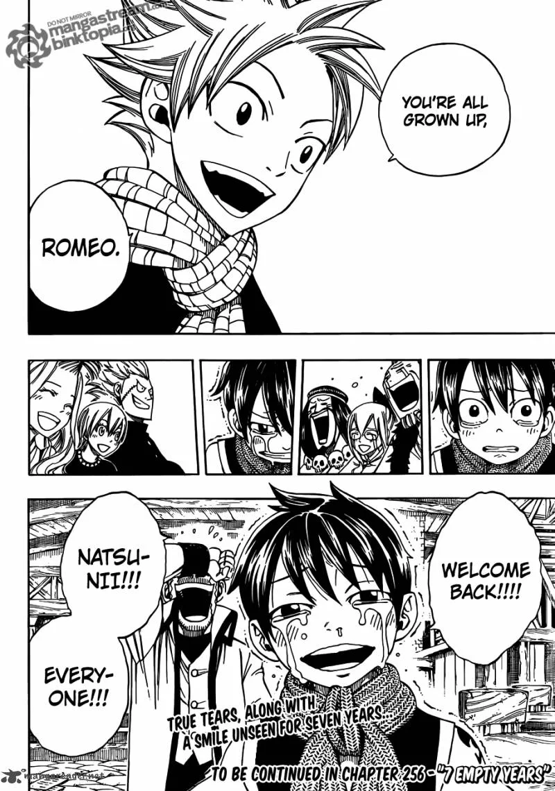 Fairy Tail Chapter 255 page 19
