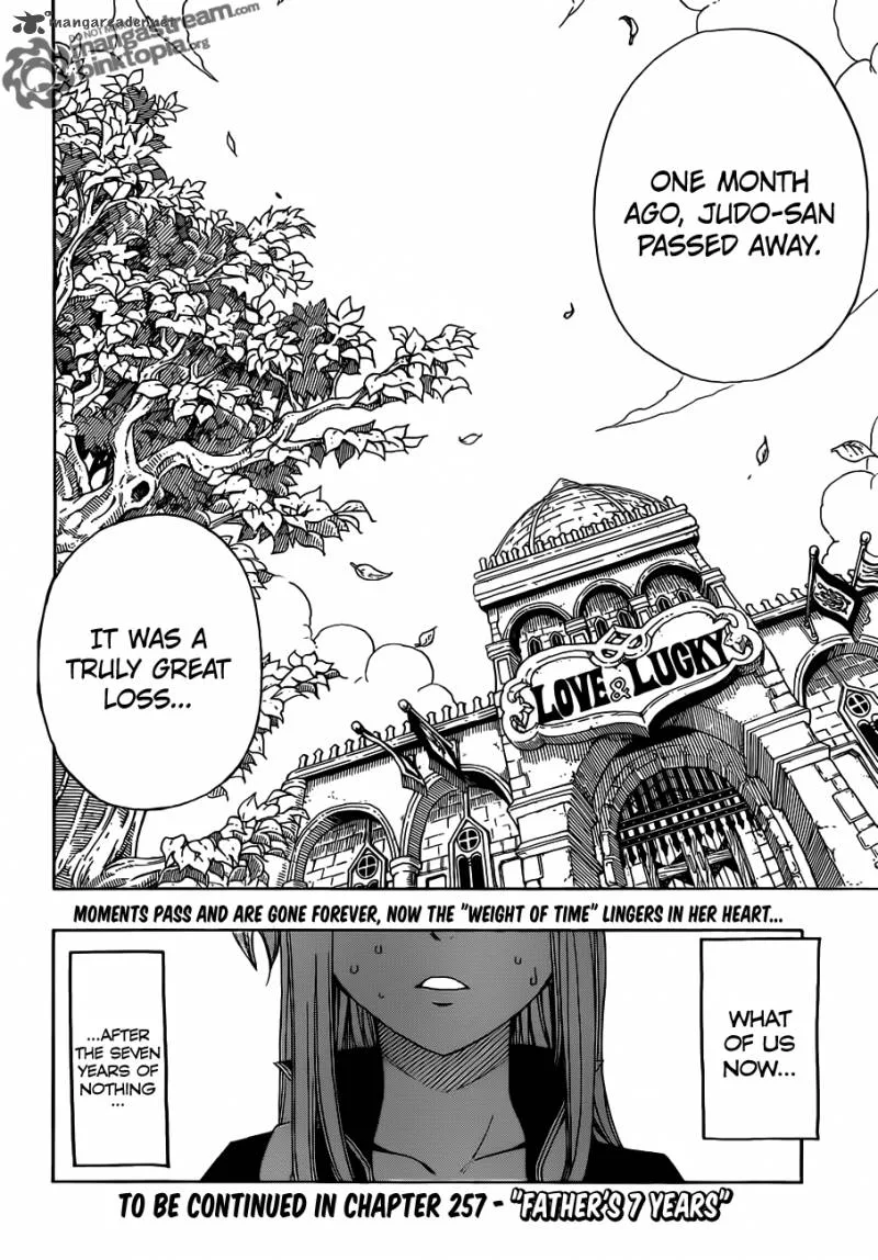 Fairy Tail Chapter 256 page 20