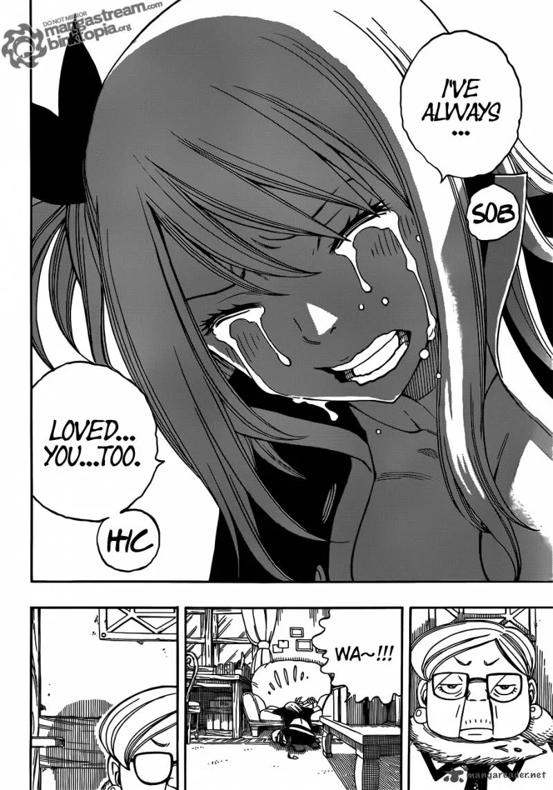 Fairy Tail Chapter 257 page 18