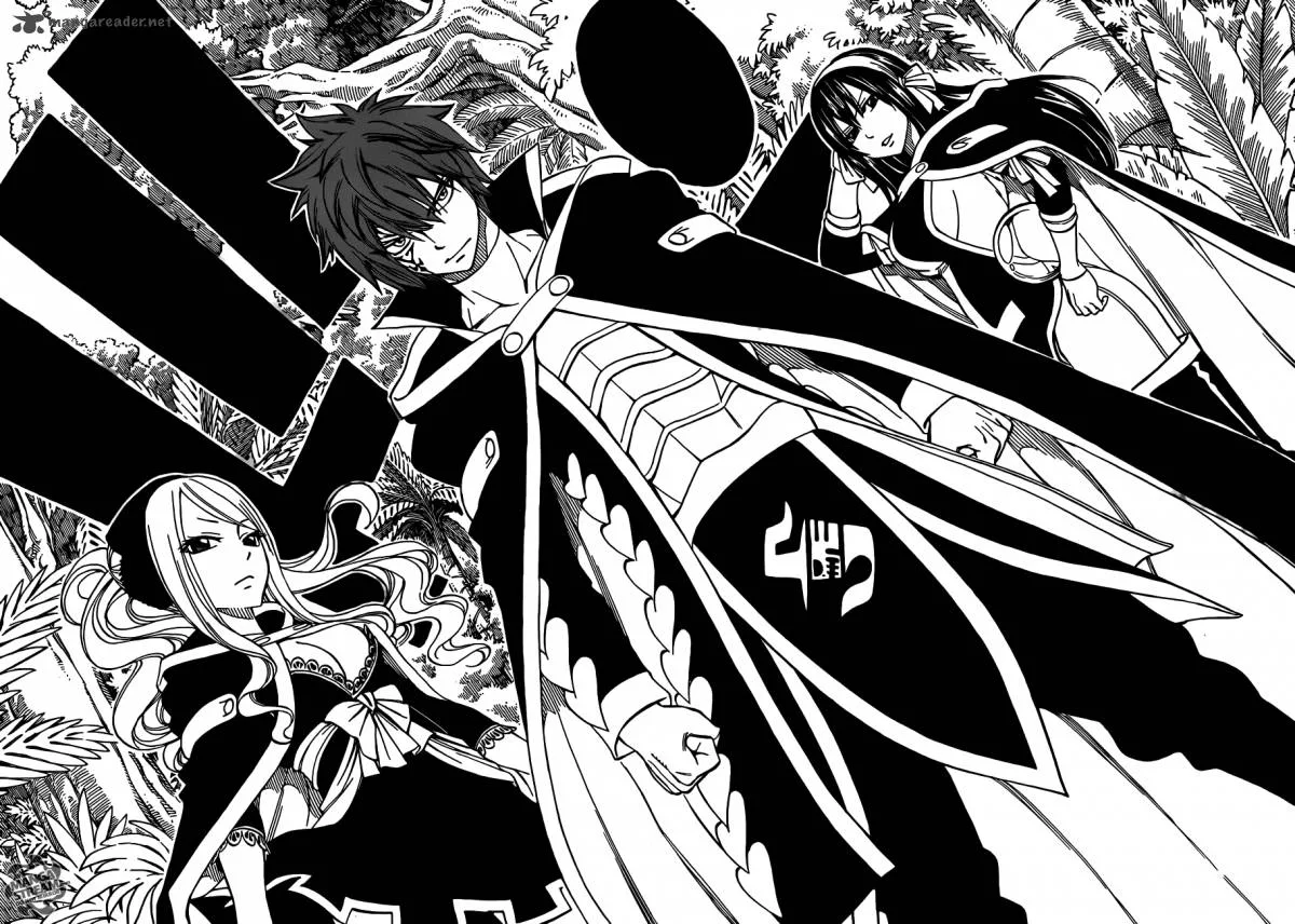 Fairy Tail Chapter 263 page 11