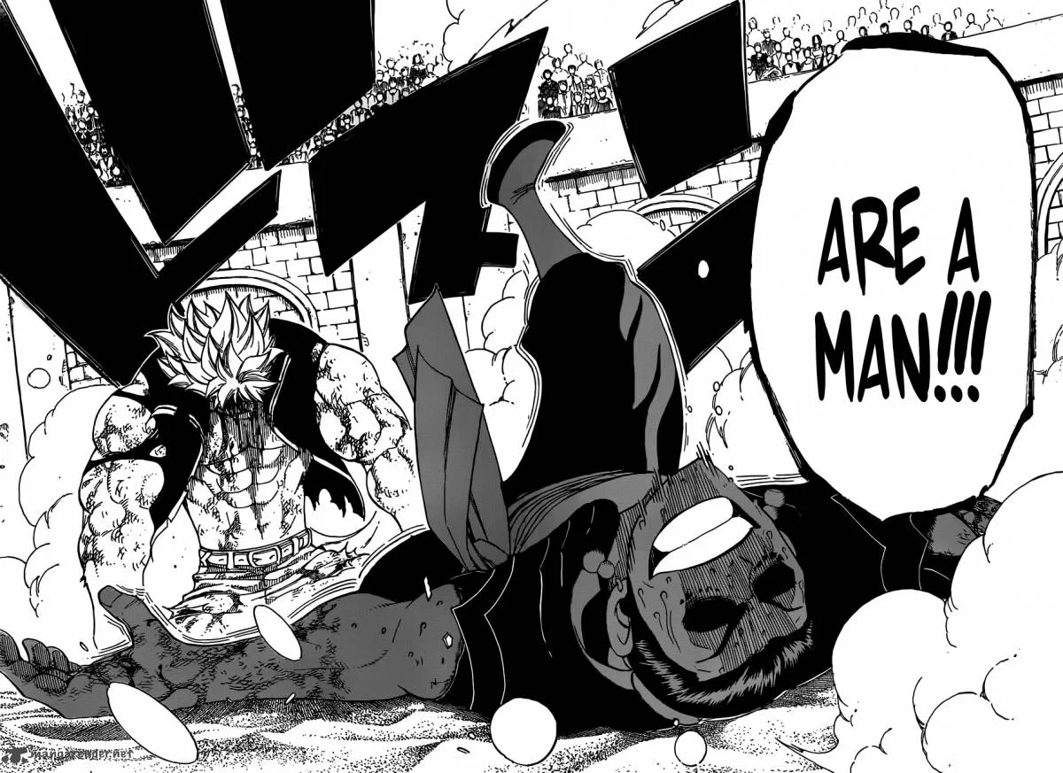 Fairy Tail Chapter 278 page 24