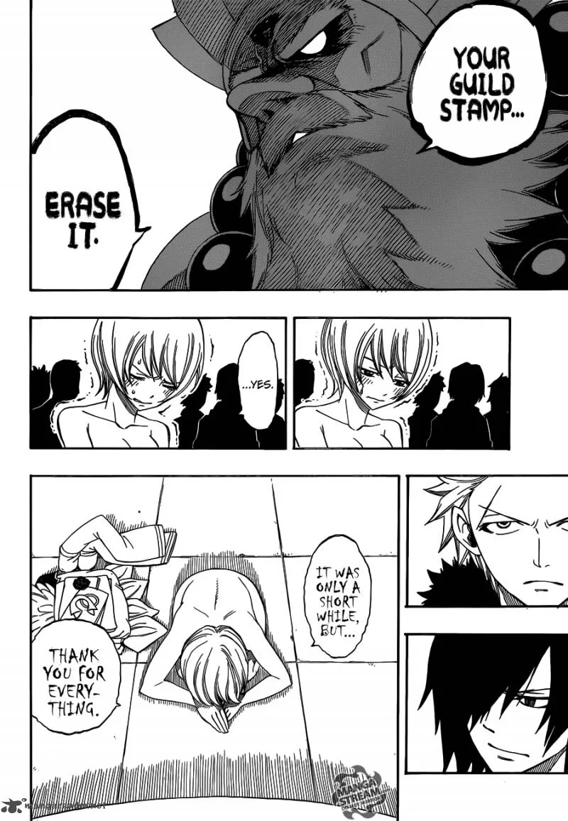 Fairy Tail Chapter 281 page 15