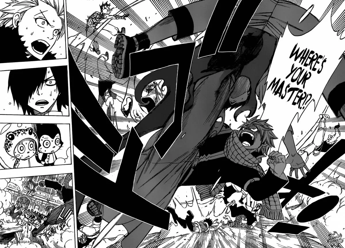 Fairy Tail Chapter 282 page 22