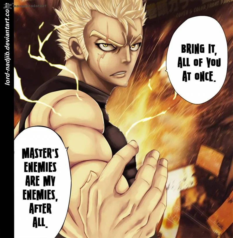Fairy Tail Chapter 289 page 5