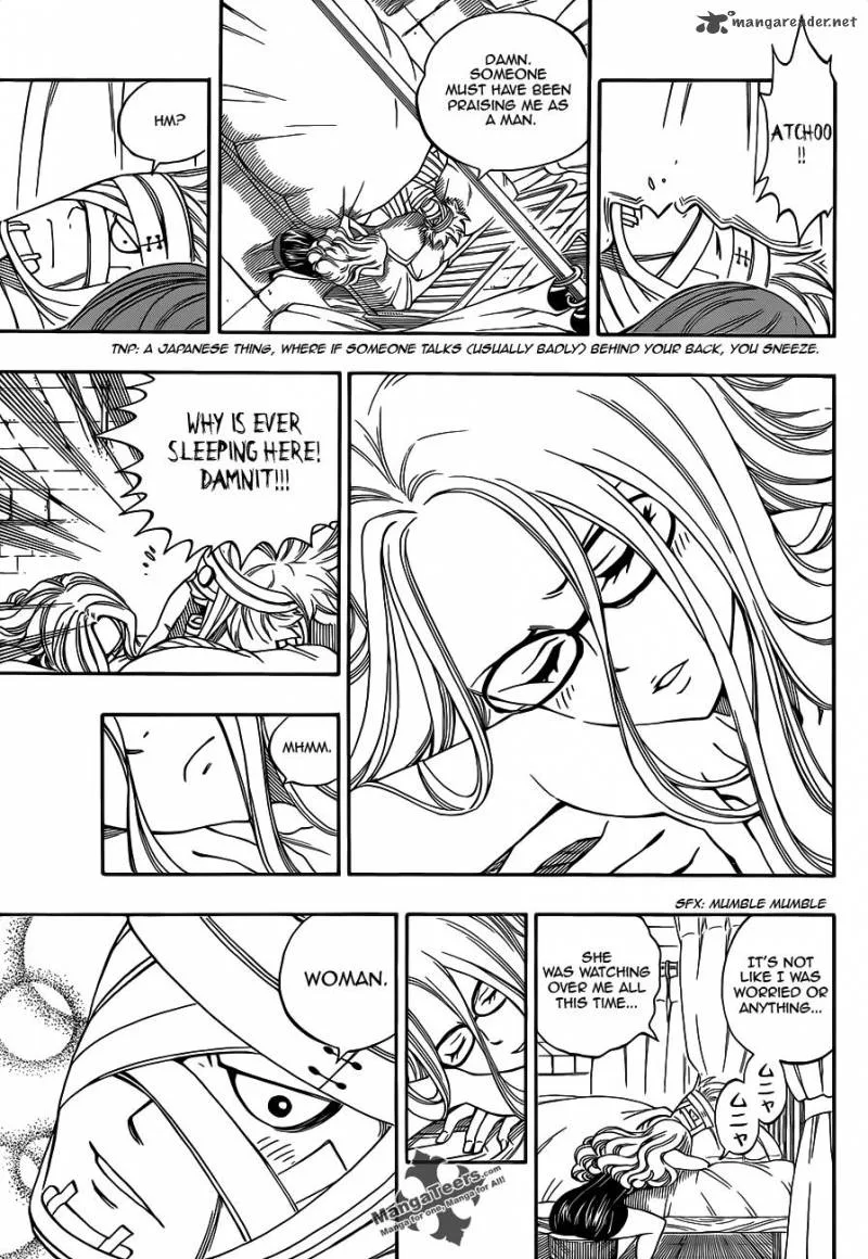 Fairy Tail Chapter 290 page 15