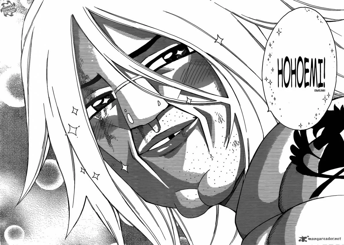 Fairy Tail Chapter 293 page 15