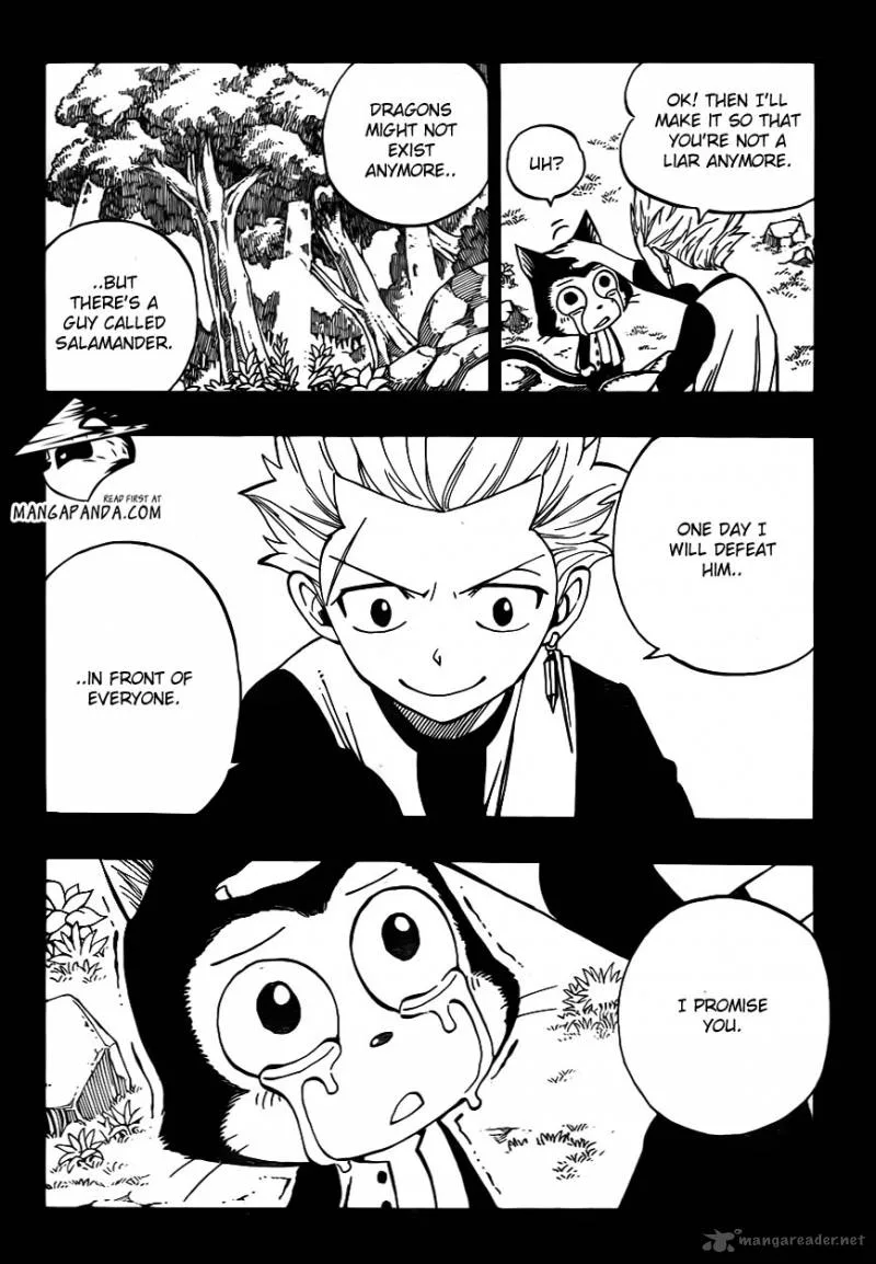 Fairy Tail Chapter 295 page 20