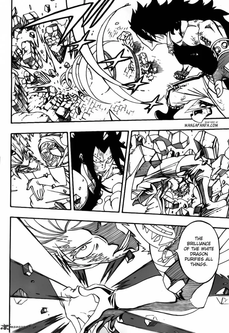 Fairy Tail Chapter 295 page 14
