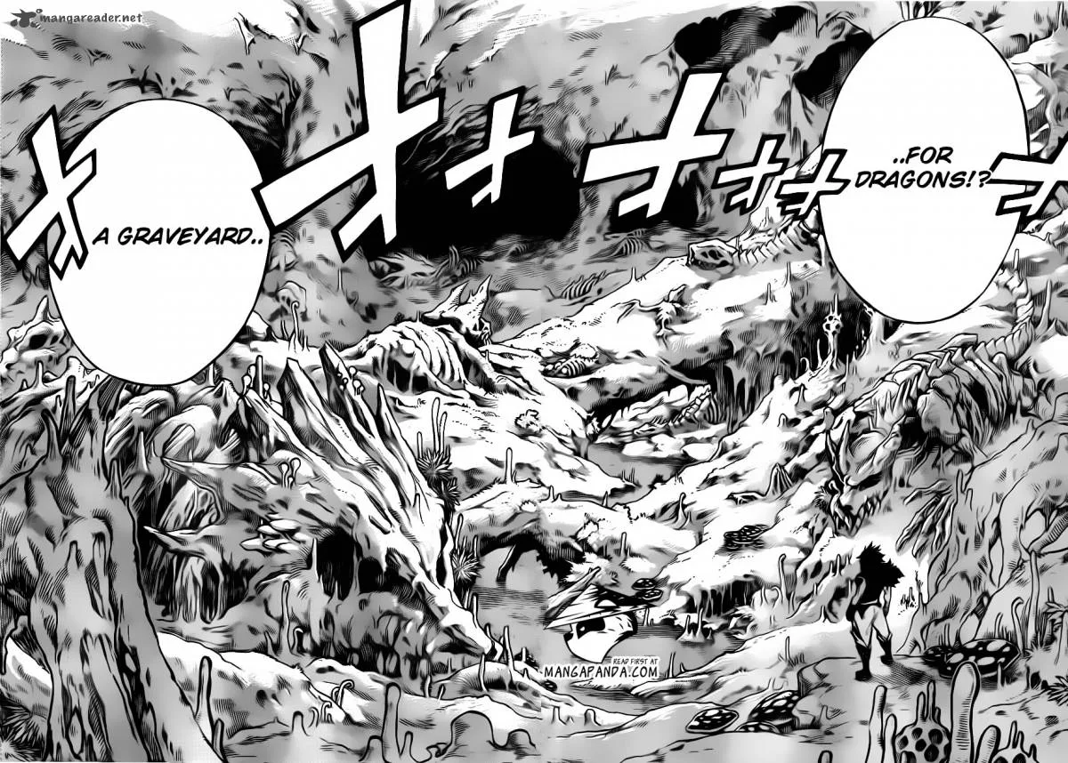Fairy Tail Chapter 297 page 10
