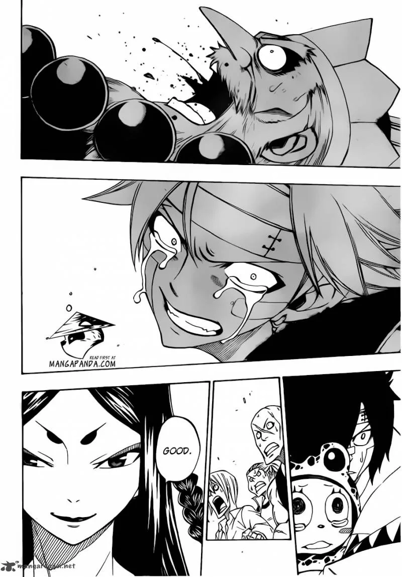 Fairy Tail Chapter 300 page 13