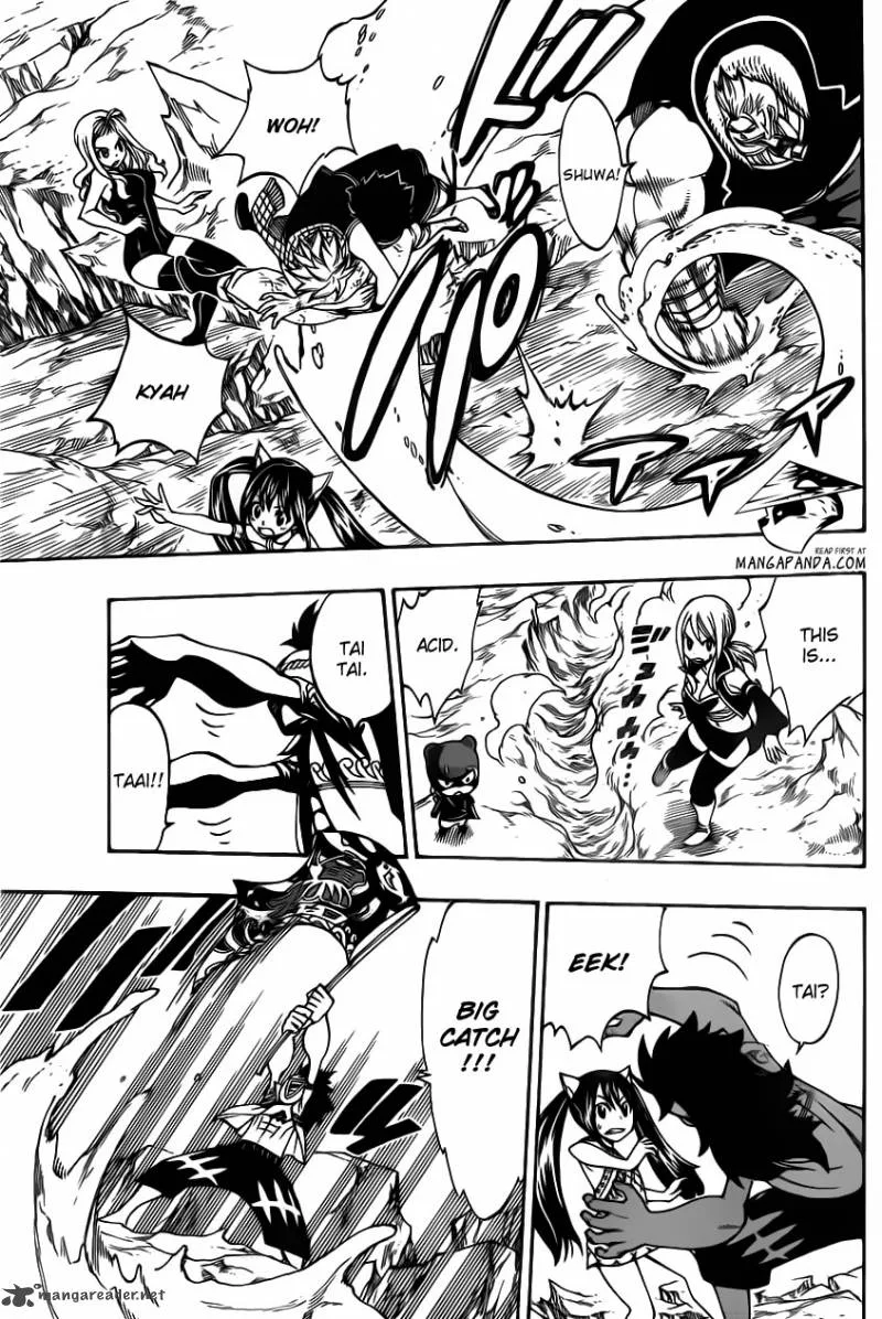 Fairy Tail Chapter 307 page 17