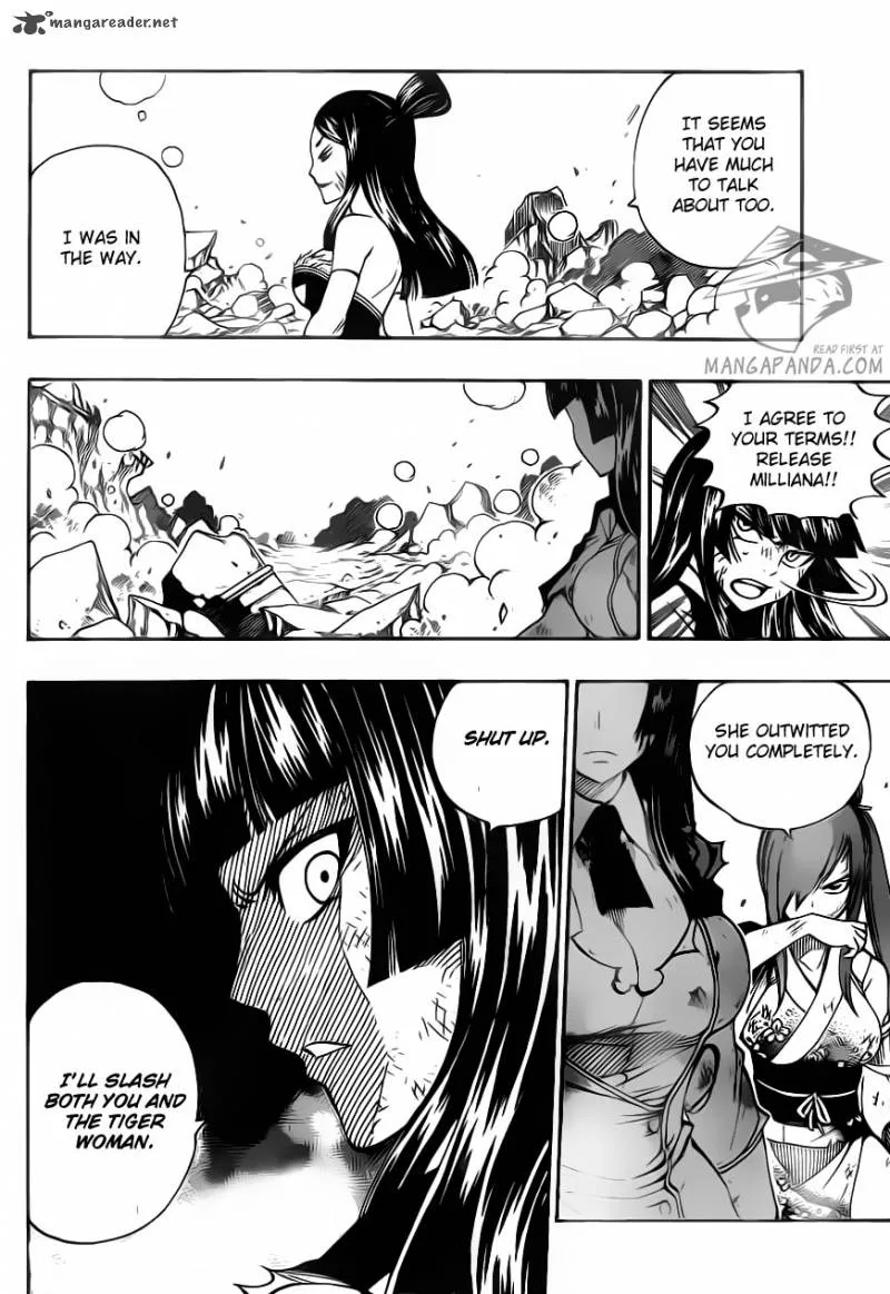 Fairy Tail Chapter 313 page 17