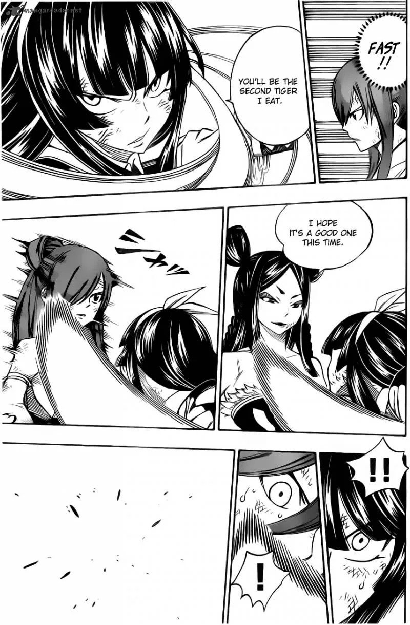 Fairy Tail Chapter 313 page 13