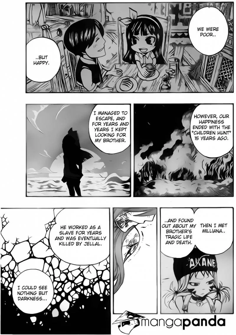 Fairy Tail Chapter 314 page 17