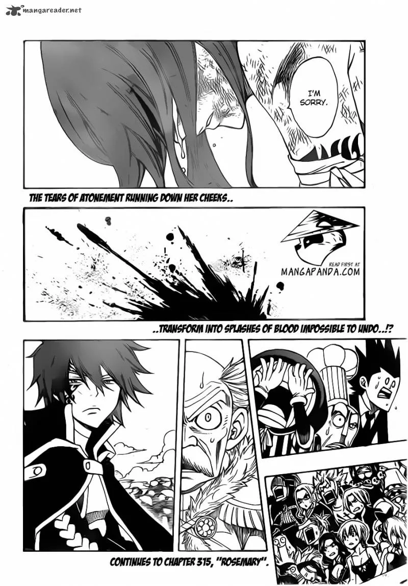 Fairy Tail Chapter 314 page 22
