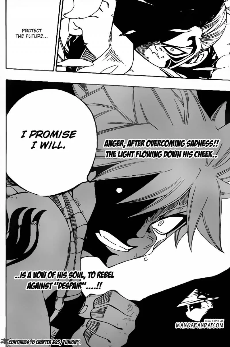 Fairy Tail Chapter 324 page 21