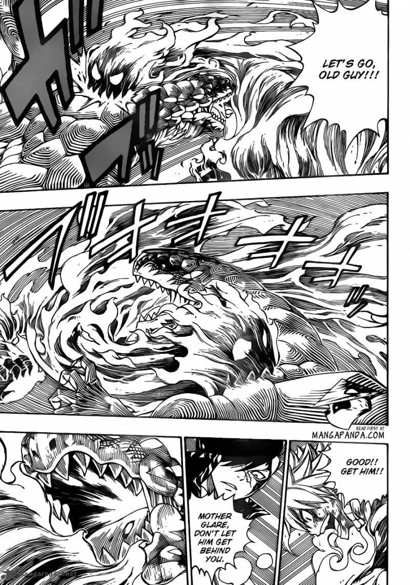 Fairy Tail Chapter 333 page 6