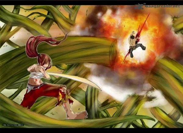 Fairy Tail Chapter 333 page 2