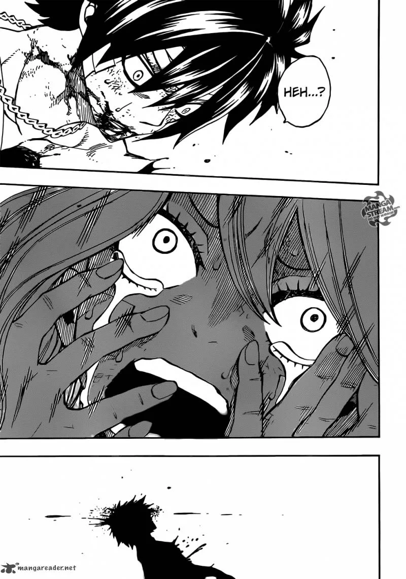Fairy Tail Chapter 334 page 22
