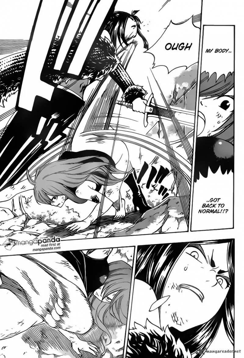 Fairy Tail Chapter 349 page 15