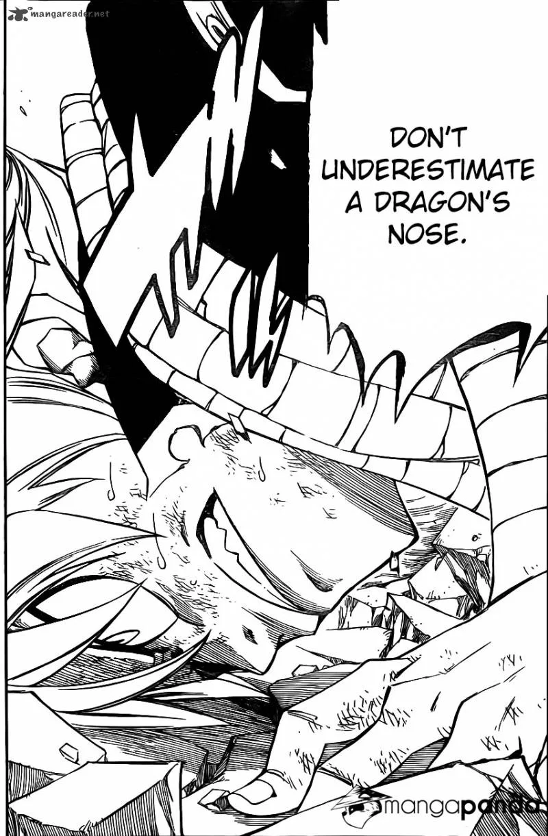 Fairy Tail Chapter 365 page 10