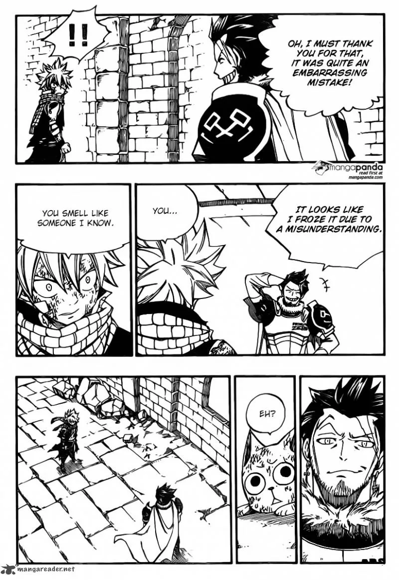 Fairy Tail Chapter 366 page 19