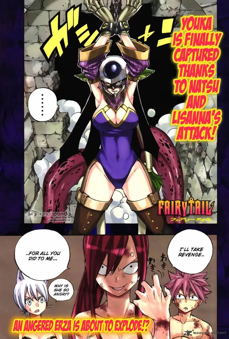 Fairy Tail Chapter 372 page 1
