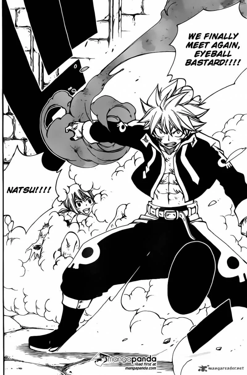 Fairy Tail Chapter 374 page 14