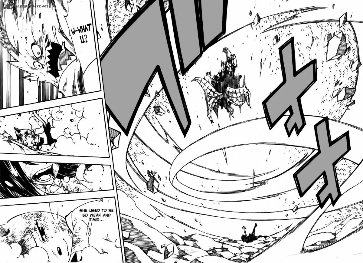 Fairy Tail Chapter 376 page 22