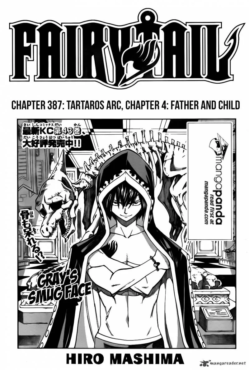 Fairy Tail Chapter 387 page 3