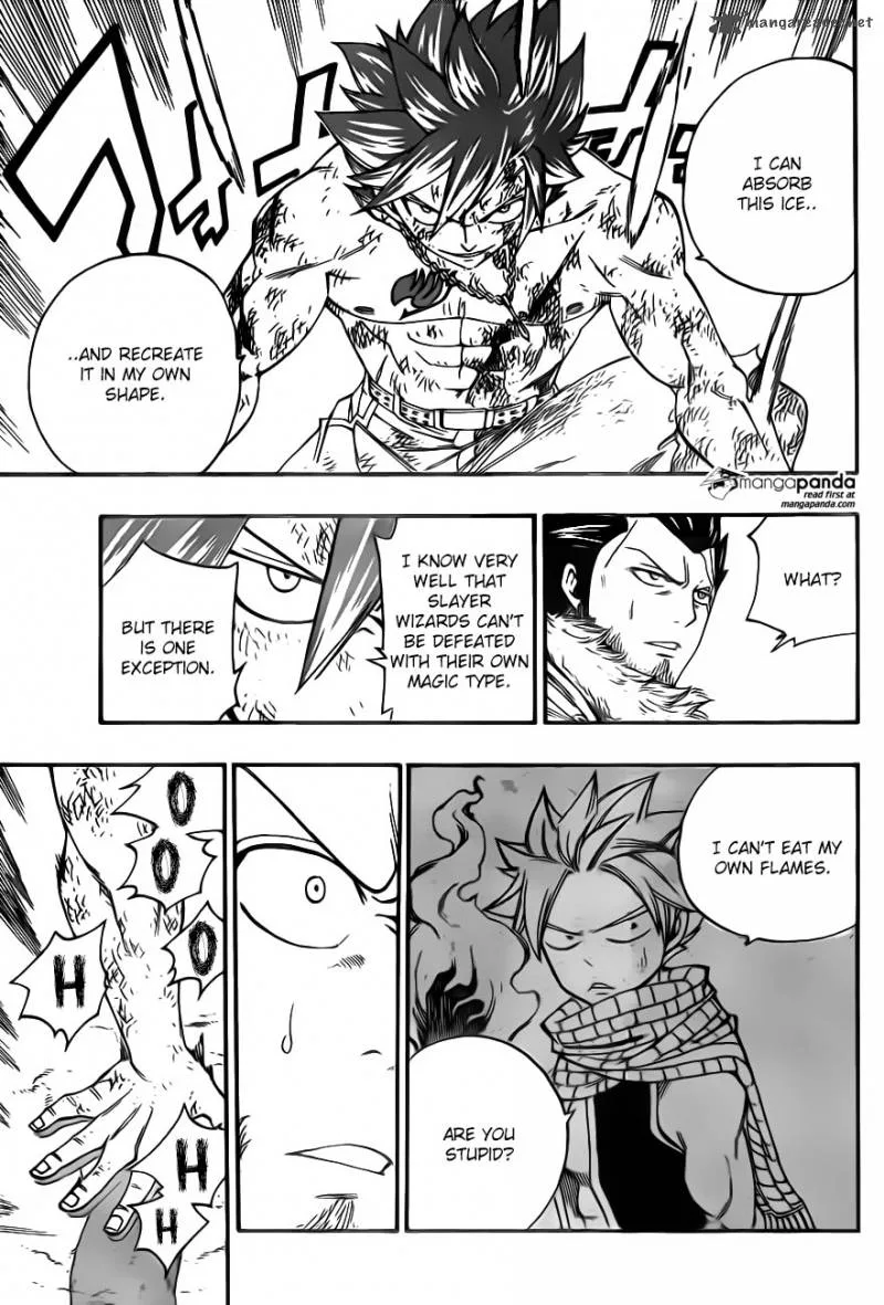Fairy Tail Chapter 391 page 19