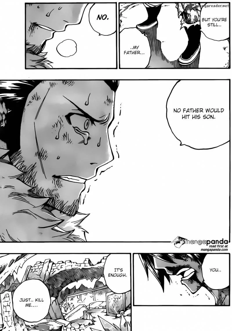 Fairy Tail Chapter 393 page 13