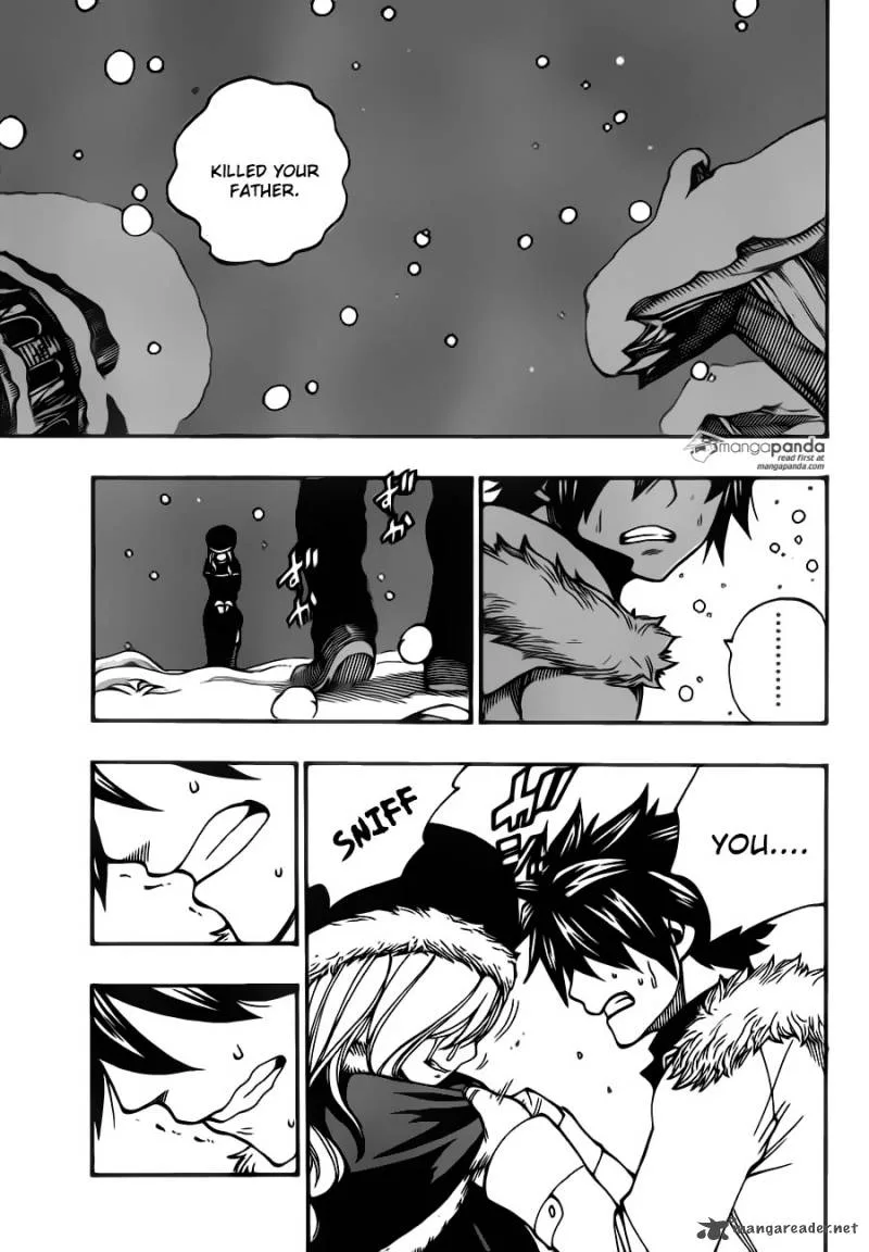 Fairy Tail Chapter 416 page 13