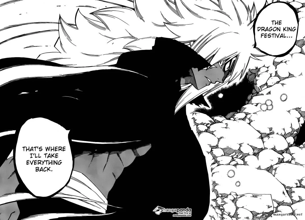 Fairy Tail Chapter 452 page 23