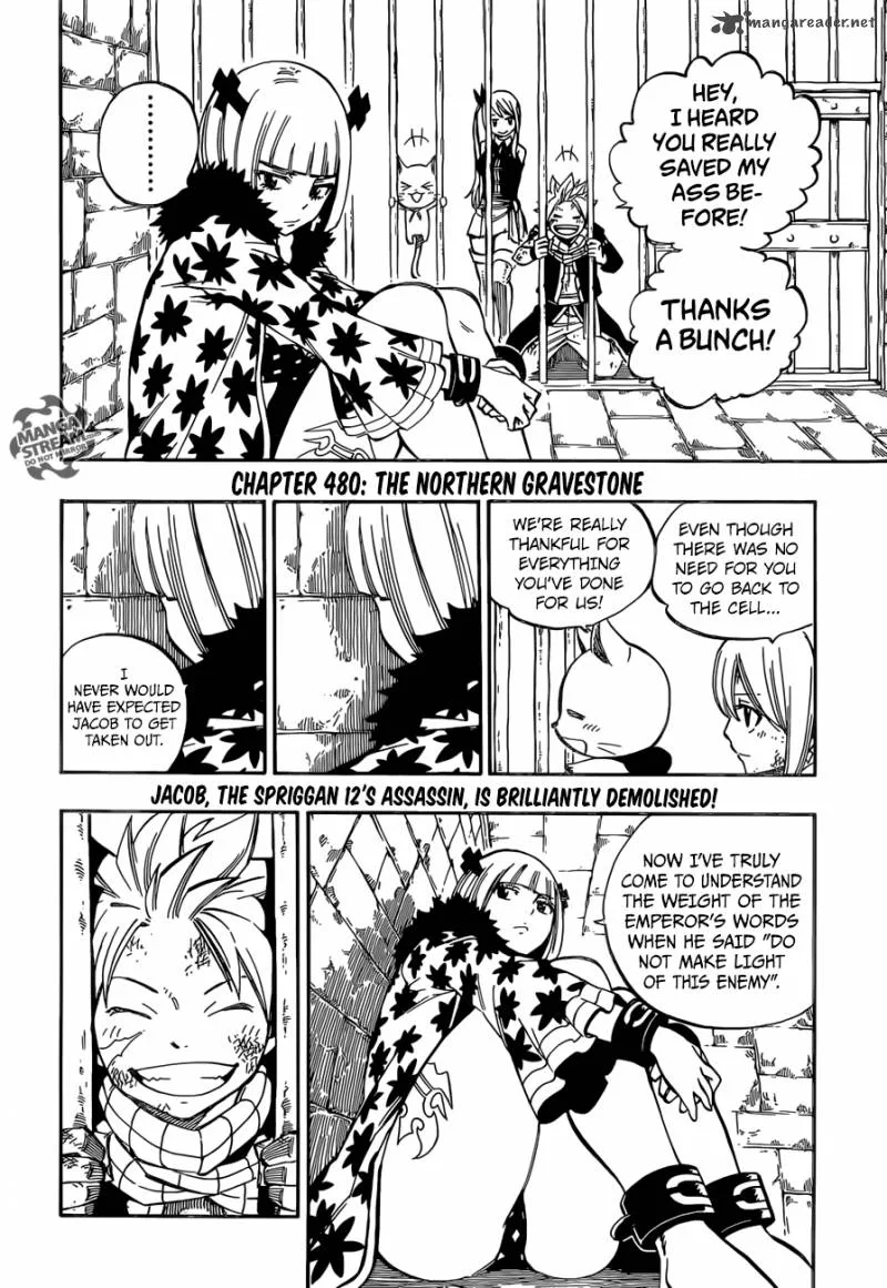 Fairy Tail Chapter 480 page 4
