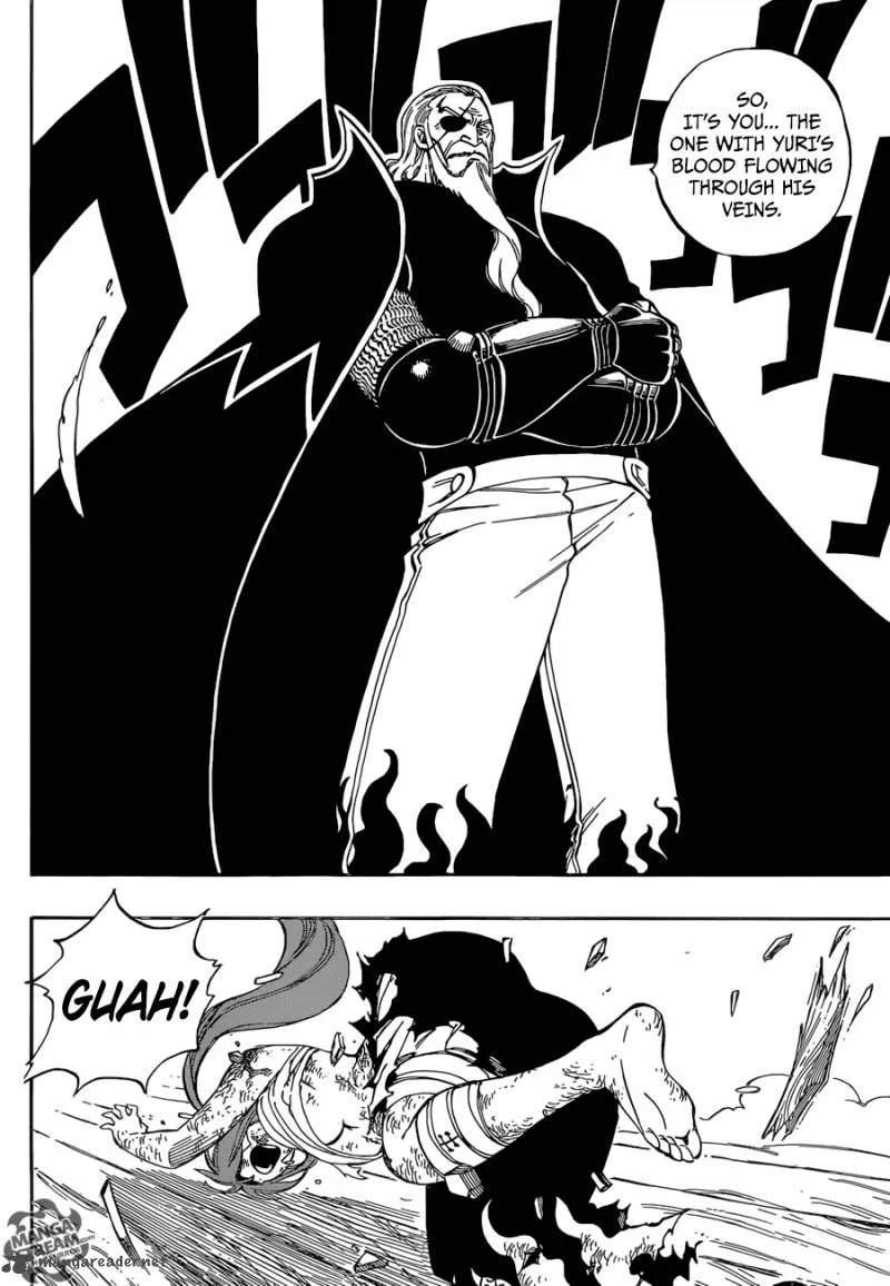 Fairy Tail Chapter 481 page 20