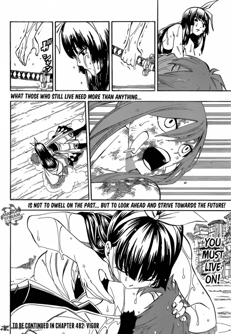 Fairy Tail Chapter 481 page 22