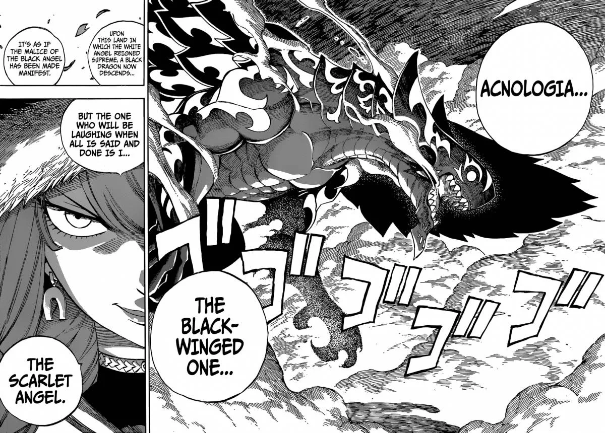 Fairy Tail Chapter 486 page 14
