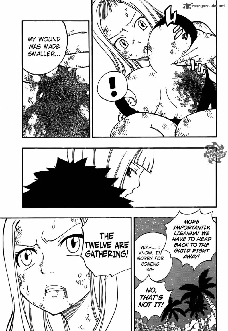 Fairy Tail Chapter 493 page 19