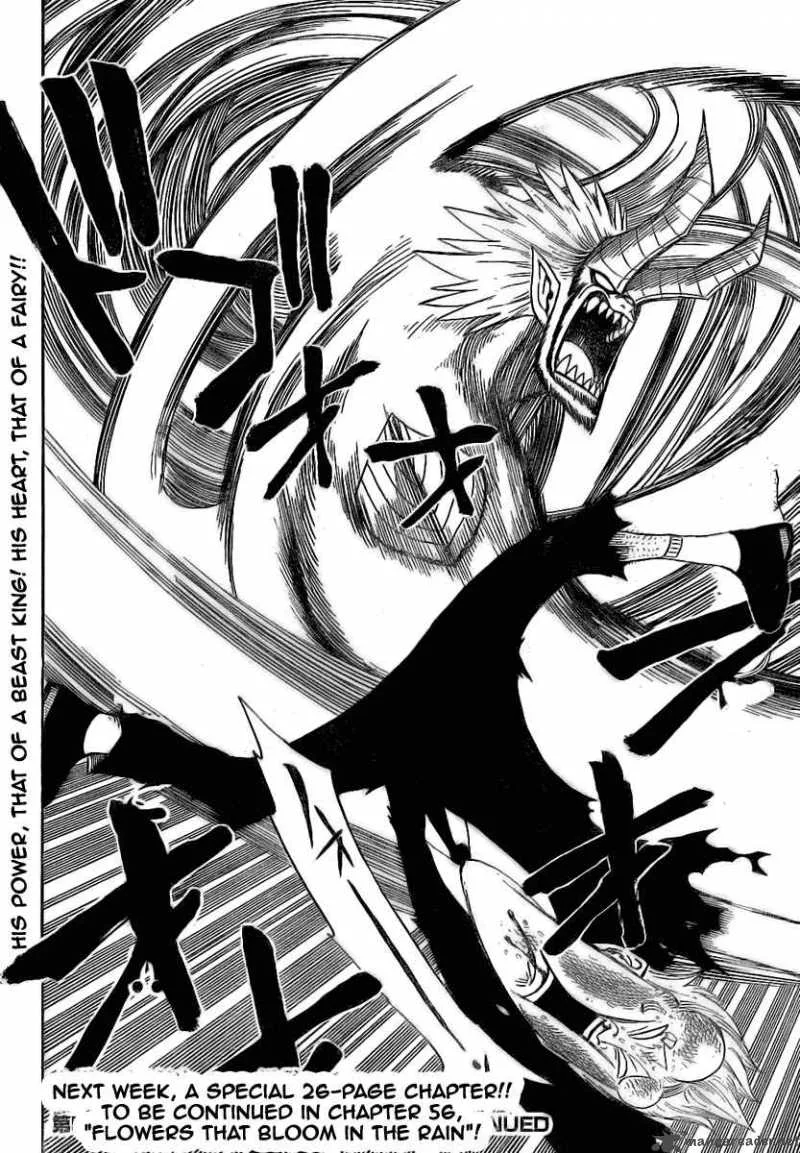 Fairy Tail Chapter 55 page 21
